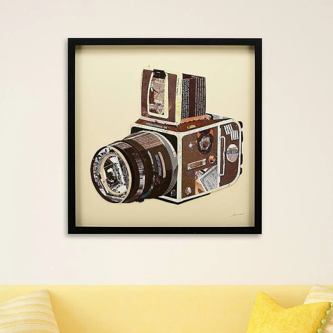 Empire Art Direct SLR Camera Wall Art