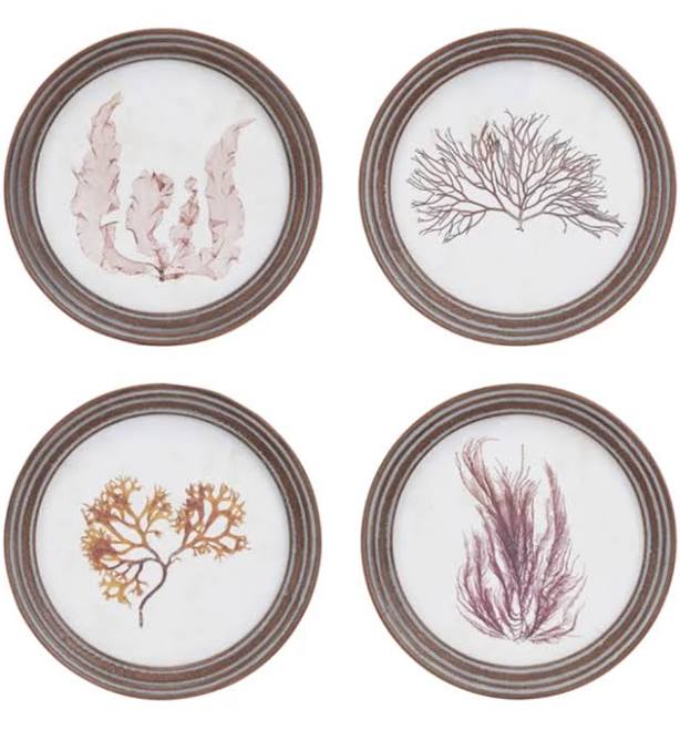 Botanical Round Framed Wall Decor