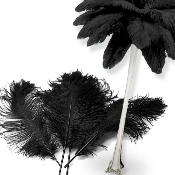 Complete Feather Centerpiece (Black) ...