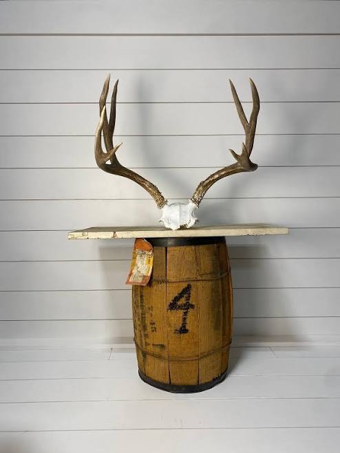 Rustic European Deer Skull Mount: Whi...