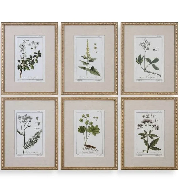 Set of 6 Green Botanical Framed Prints