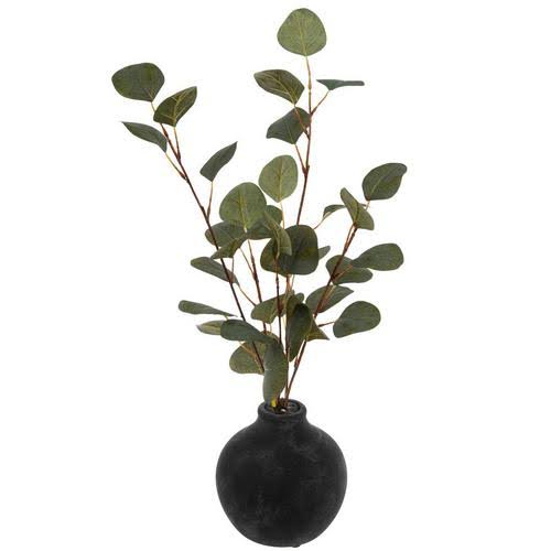 Eucalyptus In Black Round Vase