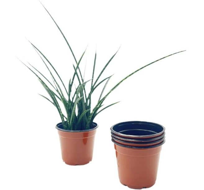 25-PK 4.5-inch Round Nursery Pots wit...