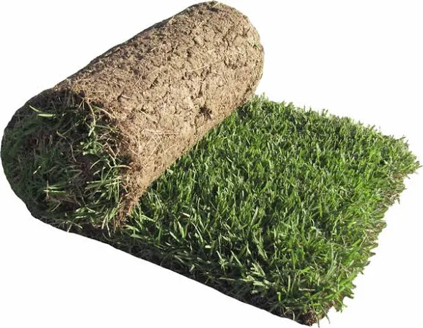 Zenith Zoysia Grass Sod