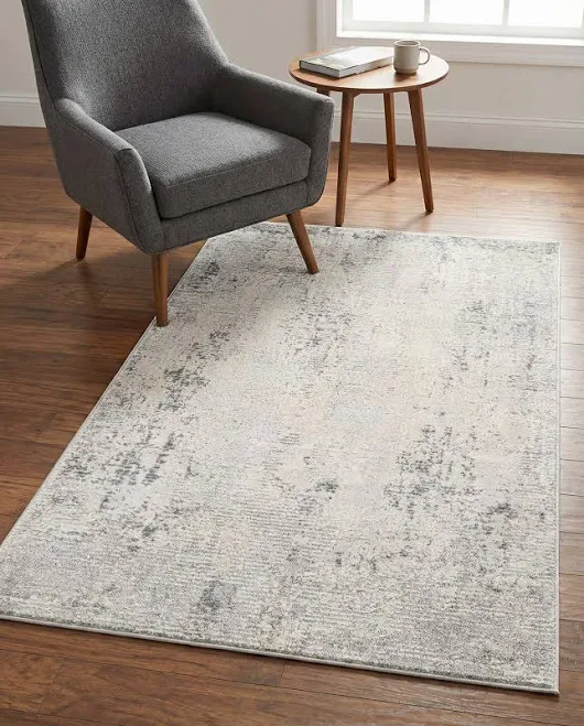 Rugs.com Caspian Gray Abstract Area Rug