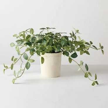 Hearth & Hand with Magnolia 10