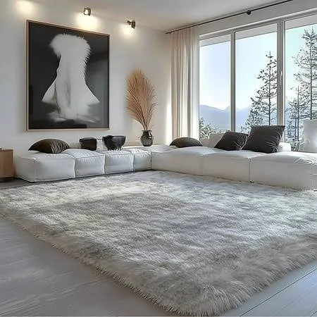 Pentantan Shag Area Rug for Living Ro...