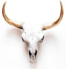 Gold Horn Cow Skull Wall Decor: Texas...