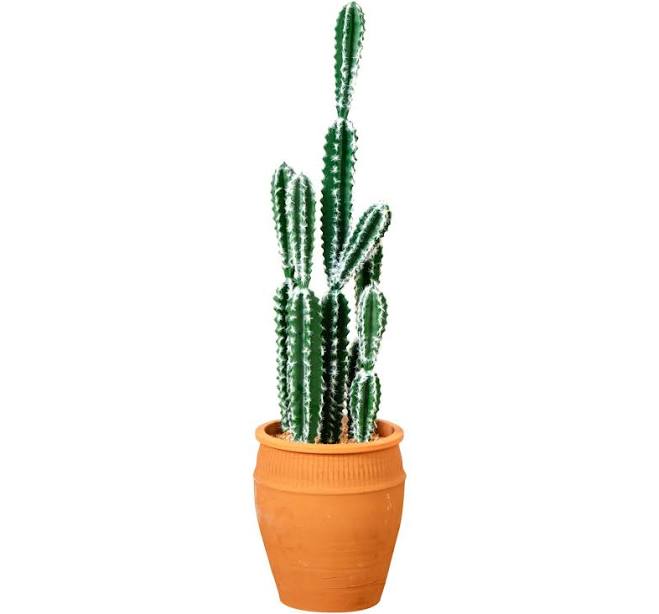 Nearly Natural Artificial Cactus Planter