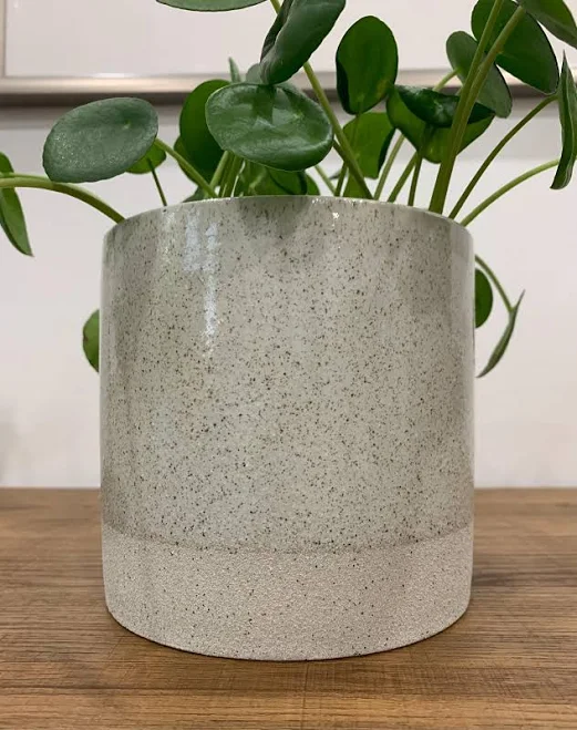 Two-Tone Beige Ceramic Planter: Indoo...