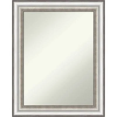 Amanti Art Salon Silver Non-Beveled F...