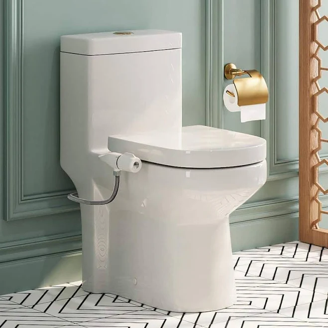 Hanikes Compact Dual Flush Toilet