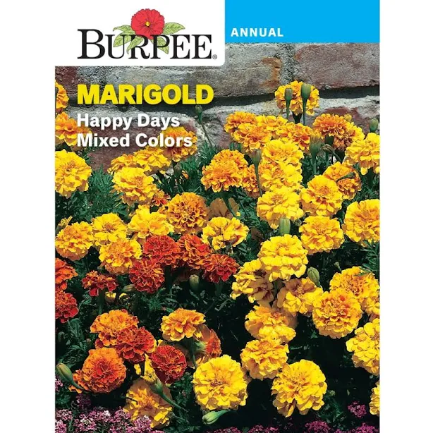 Burpee Happy Days Mixed Colors Marigo...