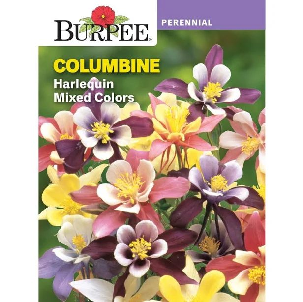 Burpee Per Columbine Harlequin Seeds