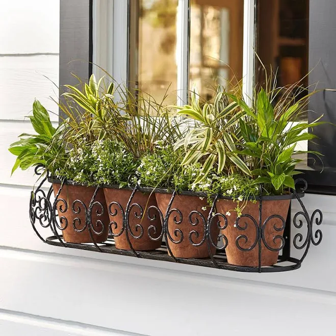 Parisian Window Box