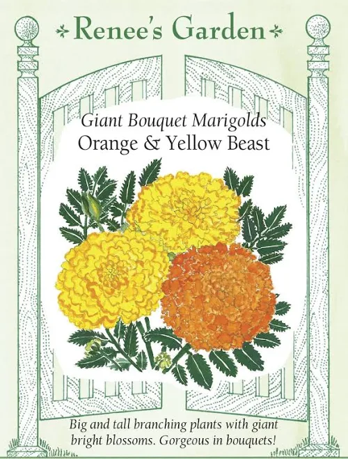 Renee's Garden Giant Bouquet Marigold...