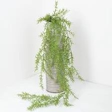 Cascading Faux Springeri Vine
