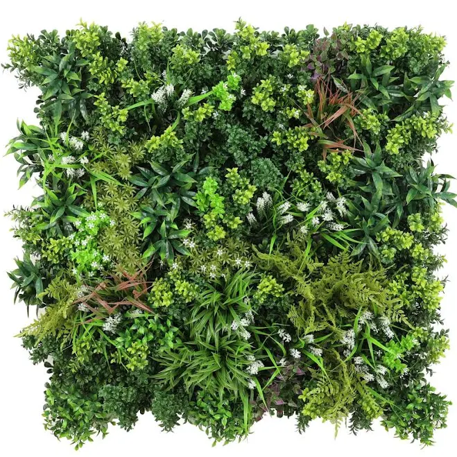 Designer Plants USA Ultra Luxury Amaz...