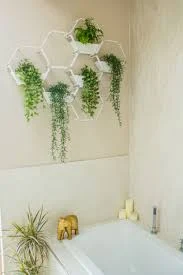 Hexagonal White Wall Planter | Modula...