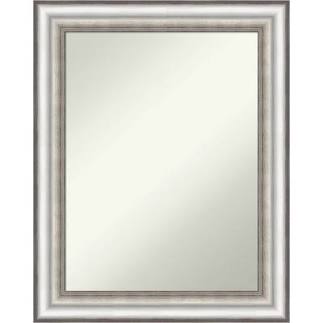 Amanti Art Salon Silver Non-Beveled F...