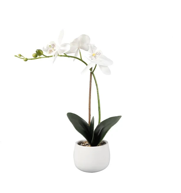 Better Homes & Gardens Artificial Rea...