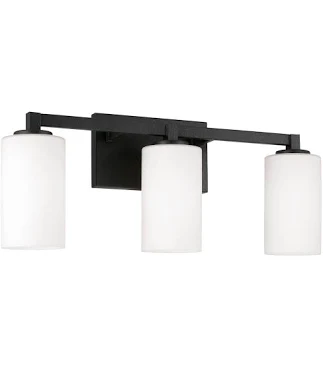 Capital Lighting Ravenwood 3 Light Va...
