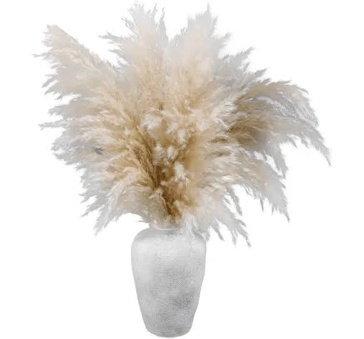 Home Decor Collection 22-Inch Pampas ...