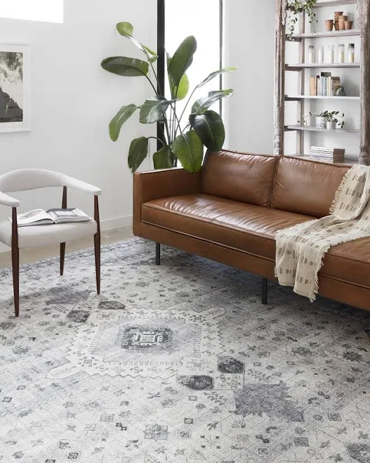 Loloi Skye SKY-02 Rug