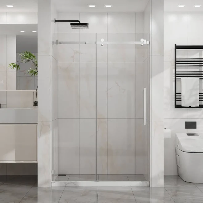 Frameless Shower Door