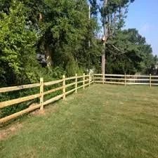 Split Rails - Spruce