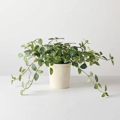 Hearth & Hand with Magnolia 10