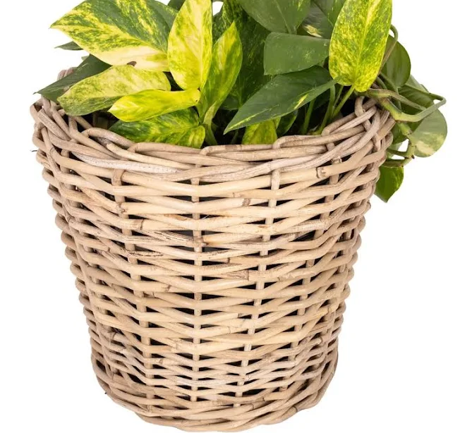 Rattan Round Basket Planter