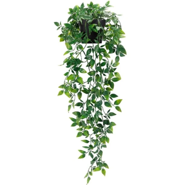 Shelf Greenery Potted Plant