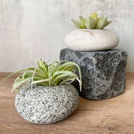 Funky Rock Designs Stone Succulent Planter