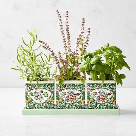 FAMILLE Rose Herb Planter with Tray (Set of 3)