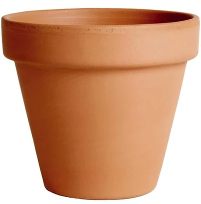 Degrea 12 in. Terra Cotta Clay Standard Planter