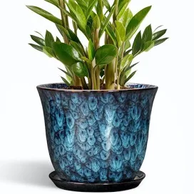 10 inch Large Ceramic Flower Pot, Round Pots for Plants with Saucer for Indoor &