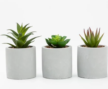 Mainstays 3-Piece Succulent Set